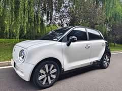 欧拉黑猫 2021款 351km 豪华型