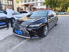 亚洲龙 2019款 双擎 2.5L 豪华版 国VI
