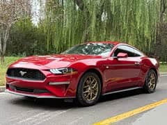 Mustang