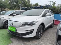 枫叶80v
