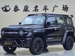 Tank 300