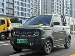 熊猫 2025款 210km 熊猫卡丁猪猪侠限定版