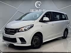 大通G10 2019款 PLUS 2.0T 自动精英版 国VI