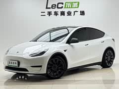 Model Y 2022款 Performance高性能全轮驱动版