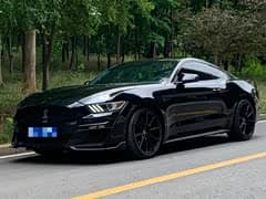 Mustang 2017款 2.3T 性能版