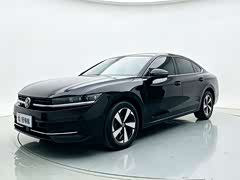迈腾 2024款 300TSI DSG尊享版显眼包