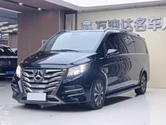 威霆 2021款 2.0T 精英版 7座