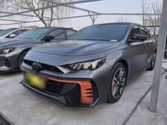 影豹