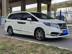 艾力绅 2019款 2.0L 混动至尊版