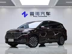 威然 2022款 380TSI 尊贵版