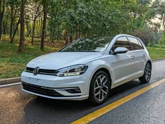 高尔夫 2019款 280TSI DSG豪华型 国VI