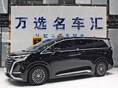 腾势D9 2024款 DM-i 980 四驱尊贵型