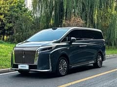 魏牌 高山新能源 2025款 四驱高山8