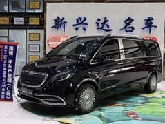 威霆 2021款 2.0T 精英版 7座