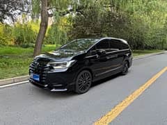 艾力绅 2024款 2.0L e:HEV 豪华版