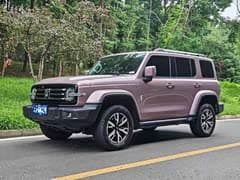 坦克300 2023款 城市版 2.0T 很有型