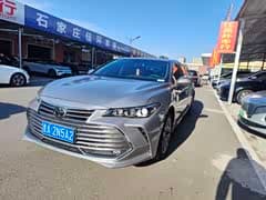 亚洲龙 2022款 2.0L 进取版
